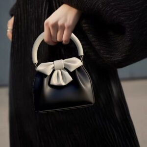 Women’s 2026 New French Niche Fashion Versatile Contrasting Color Small Square Bag Bow Pleated Black Handbag