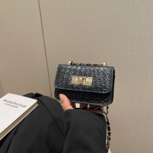 2026 New Women’s Shoulder Crossbody Summer Chain Textured Niche Commuter Exquisite Mini Small Square Bag
