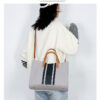 Black Stripes Canvas Gray