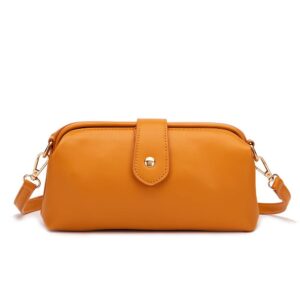 Designer fashion new retro hand-planted soft gold Doctor clip casual mini crossbody bag