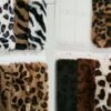 Color customization