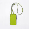 Exotic fruit green